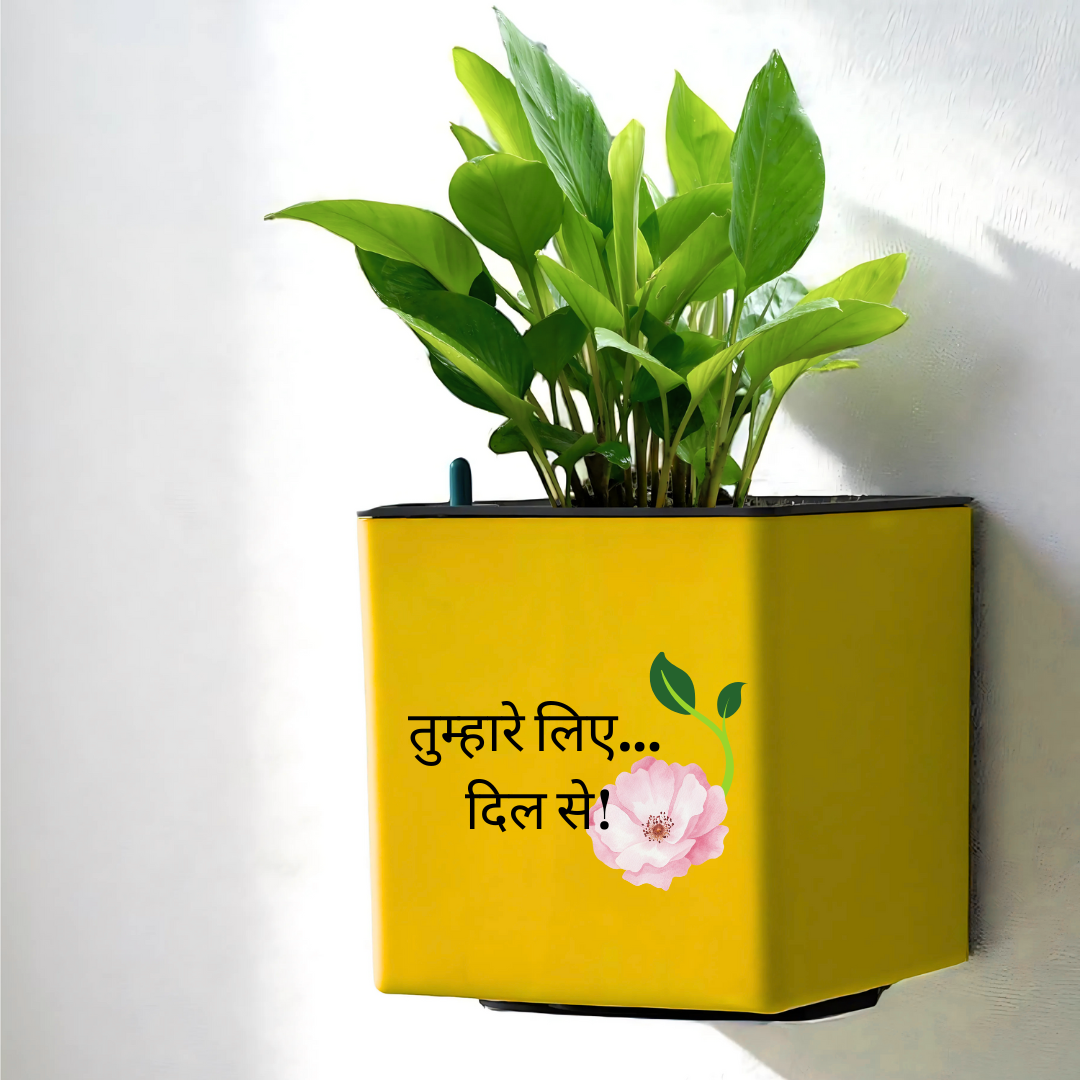 Elegant Yellow Self-Watering Customize Wall Hanging Square Planter-1 PC