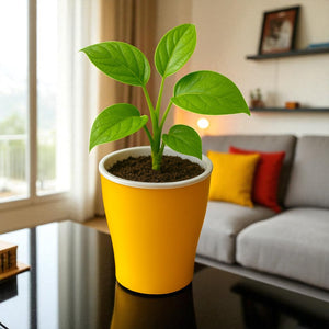 Elegant Yellow Self-Watering Cone Planter-2PC