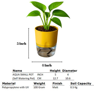 Self Watering Planter with Live Indoor Plant-Yellow