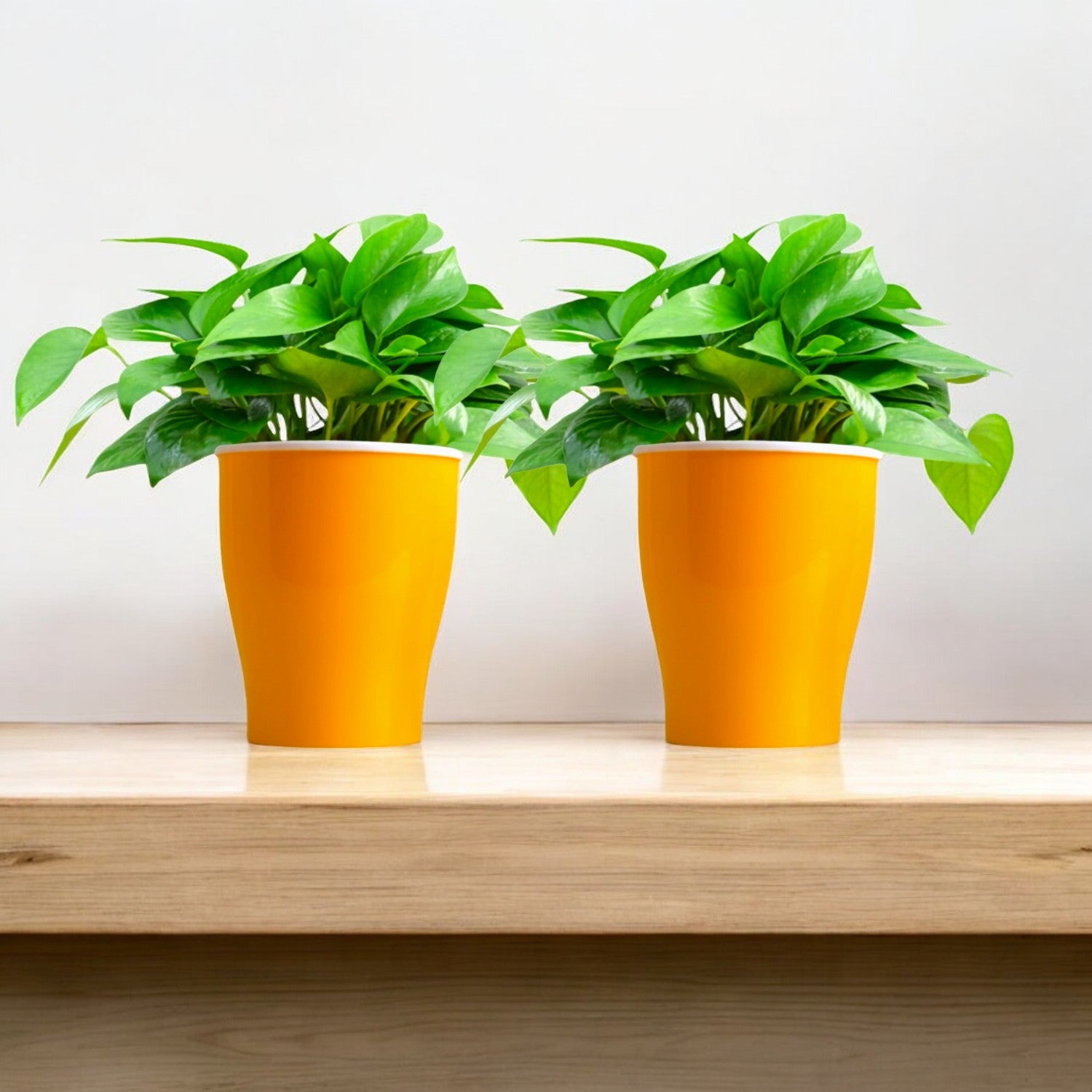 Elegant Yellow Self-Watering Cone Planter-2PC