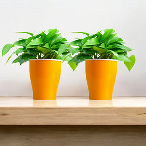 Elegant Yellow Self-Watering Cone Planter-2PC