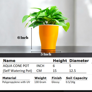 Elegant Yellow Self-Watering Cone Planter-2PC