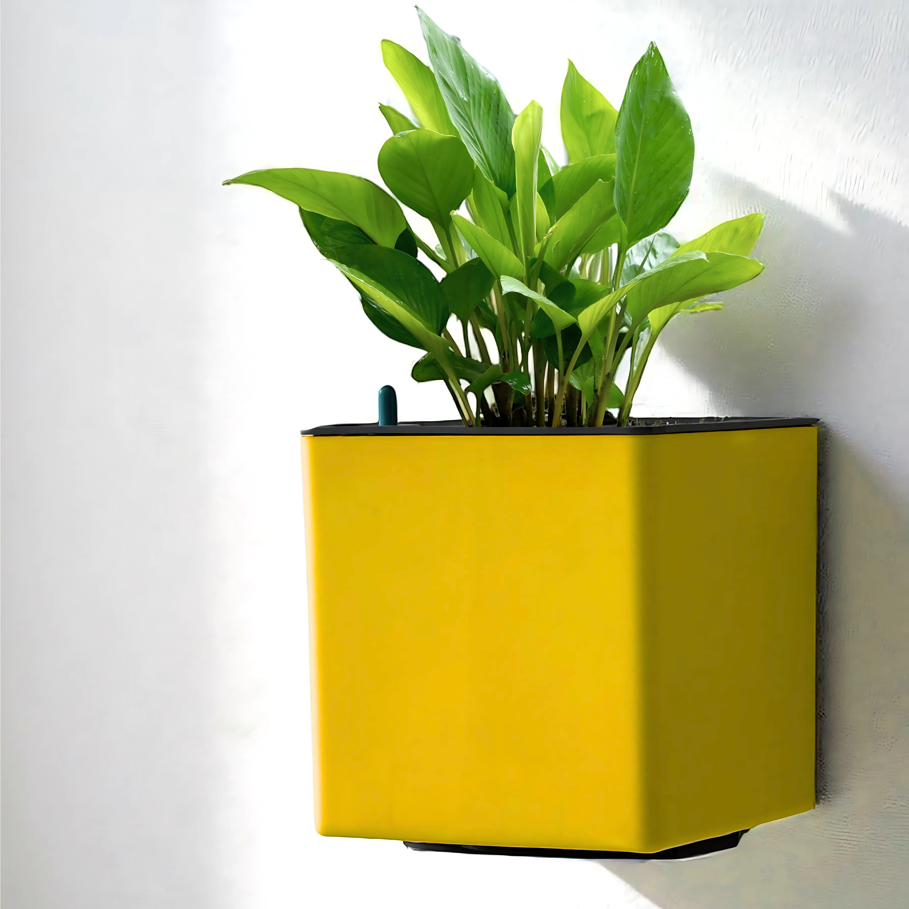 Elegant Yellow Self-Watering Wall Hanging Square Planter