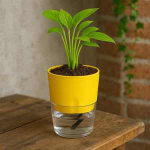 Self Watering Planter with Live Indoor Plant-Yellow