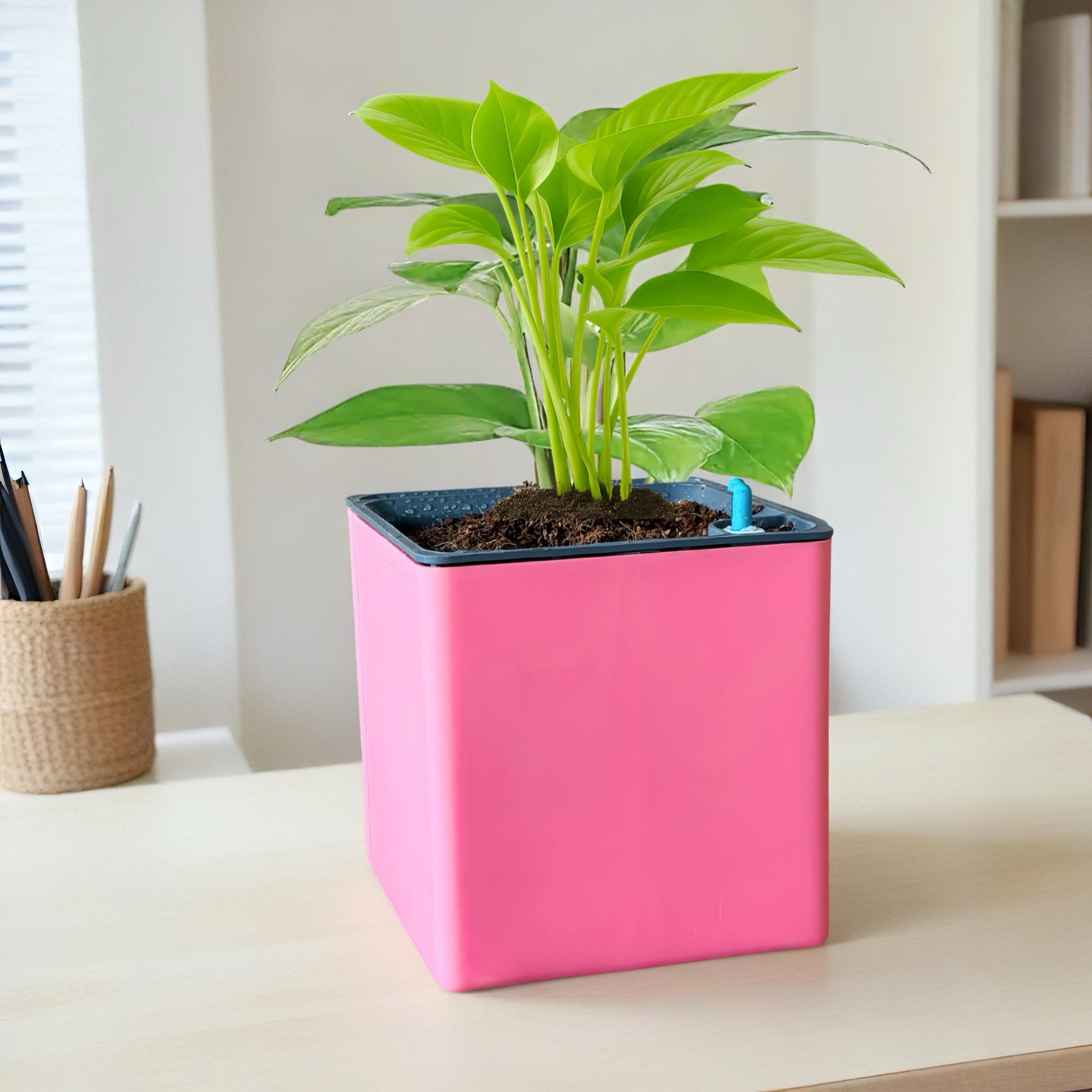 Elegant Baby Pink Self-Watering Square Planter