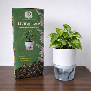 Self Watering Planter with Live Indoor Plant-White