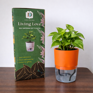 Self Watering Planter with Live Indoor Plant-White