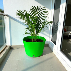 Big Cube Self-Watering Plant Container