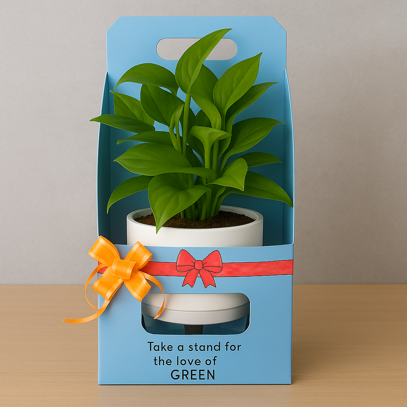 Premium Corporate Gifts– Customized Self-Watering Pot with Plant.