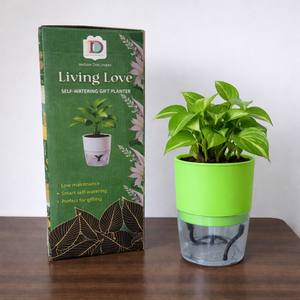 Self Watering Planter with Live Indoor Plant-Sea Green