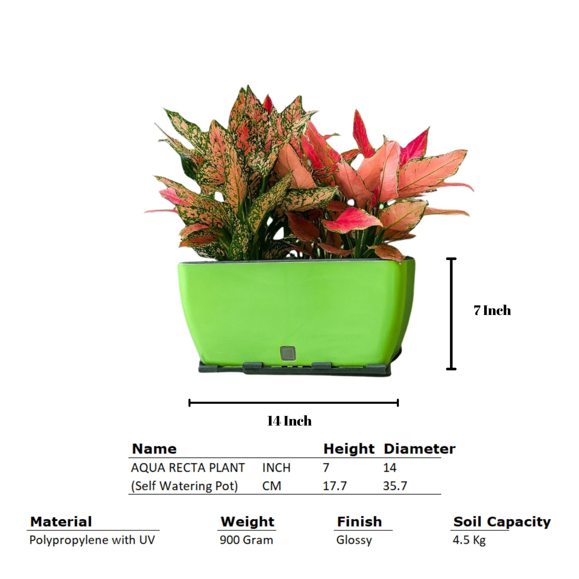 Rectangular Self-Watering Wall Planter - Green