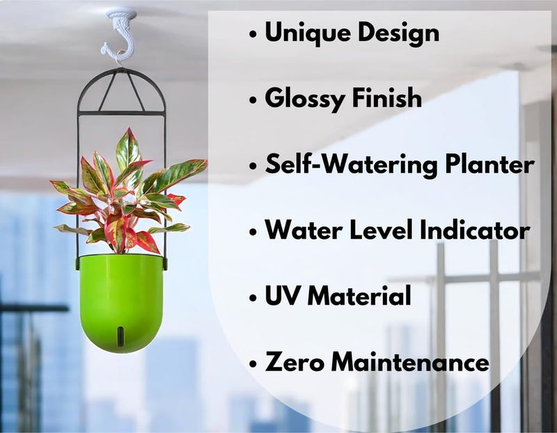 Elegant Green Self-Watering Ceiling Hanging Sphere Planter-1 PC