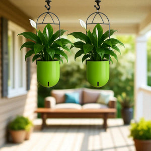 Elegant Green Self-Watering Ceiling Hanging Sphere Planter