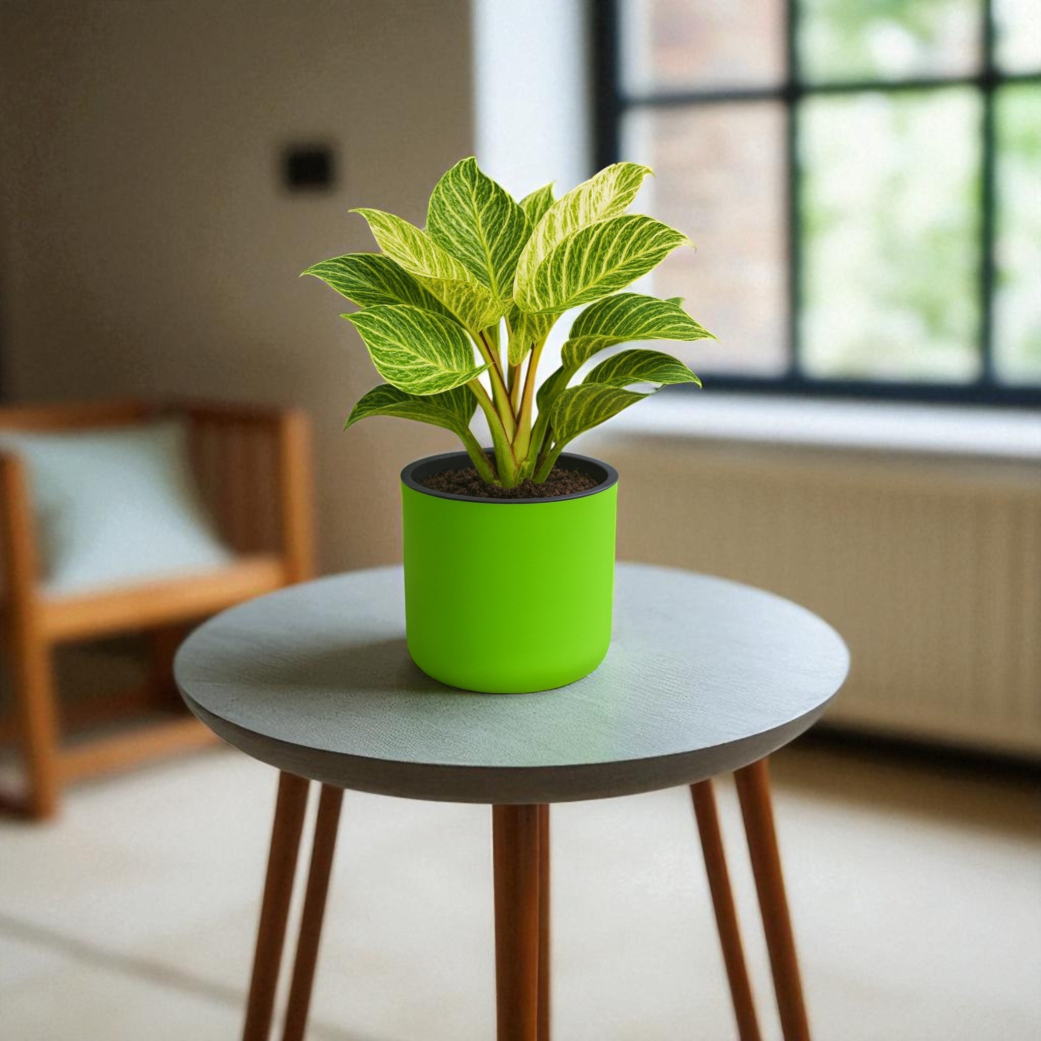 Classic Parrot Green Self-Watering Round Planter