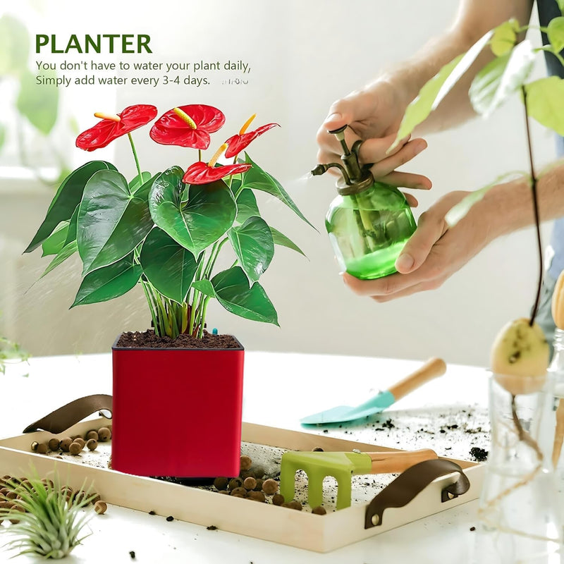 Elegant Maroon Self-Watering Wall Hanging Square Planter-1 PC