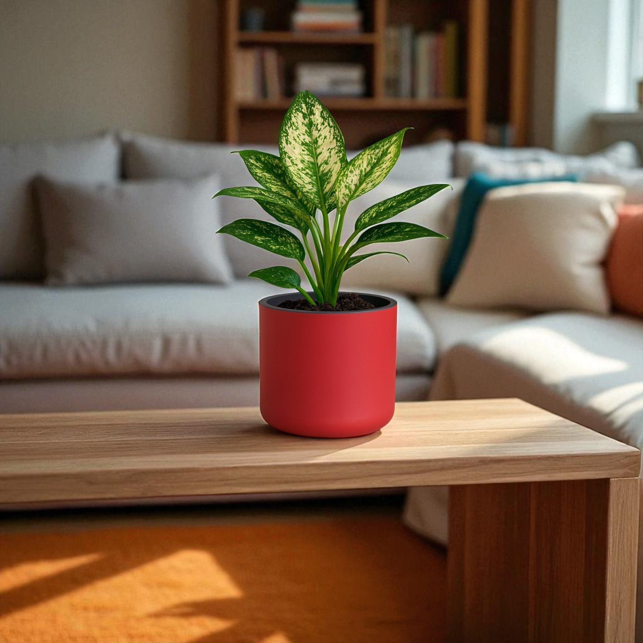 Classic Maroon Self-Watering Round Planter
