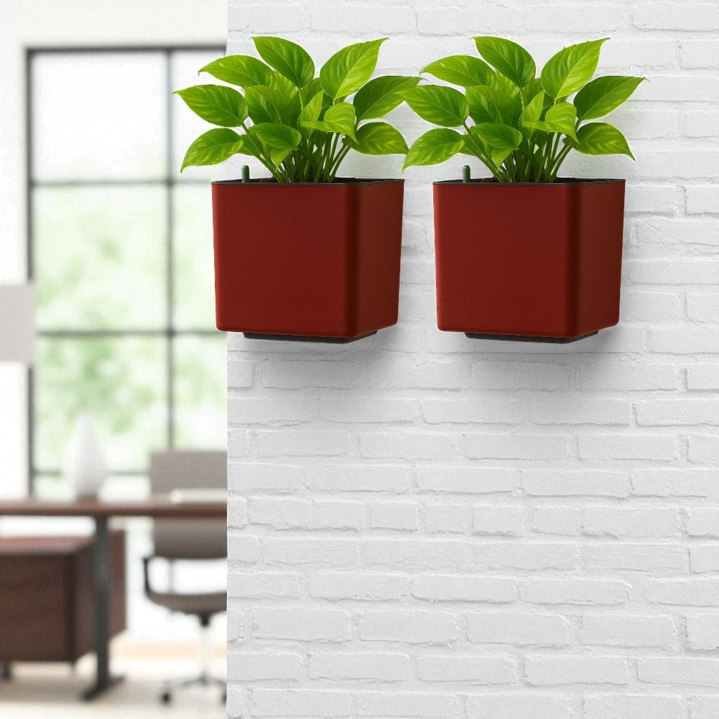 Elegant Maroon Self-Watering Wall Hanging Square Planter