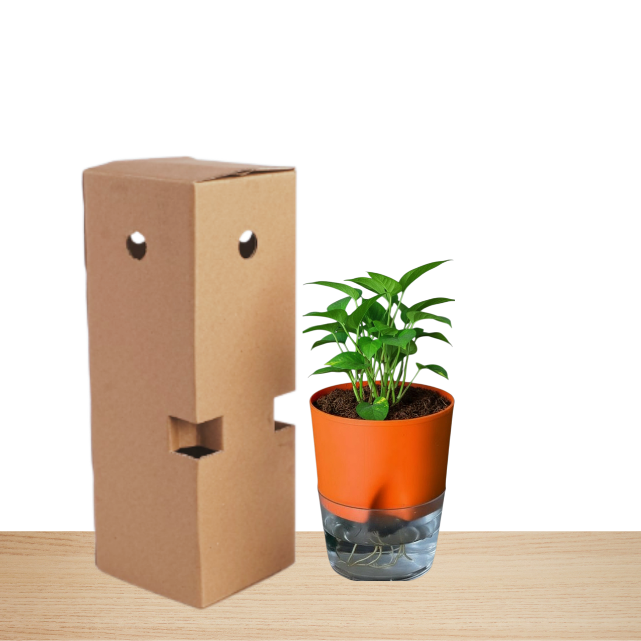 Self Watering Planter orange with Live Indoor Plant