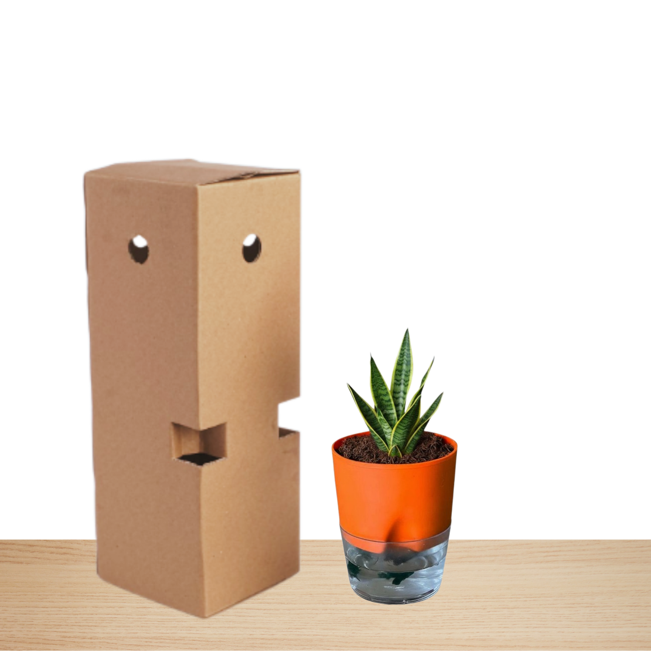 Self Watering Planter orange with Live Indoor Plant