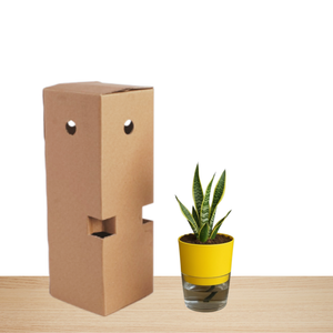 Self Watering Planter with Live Indoor Plant-Yellow