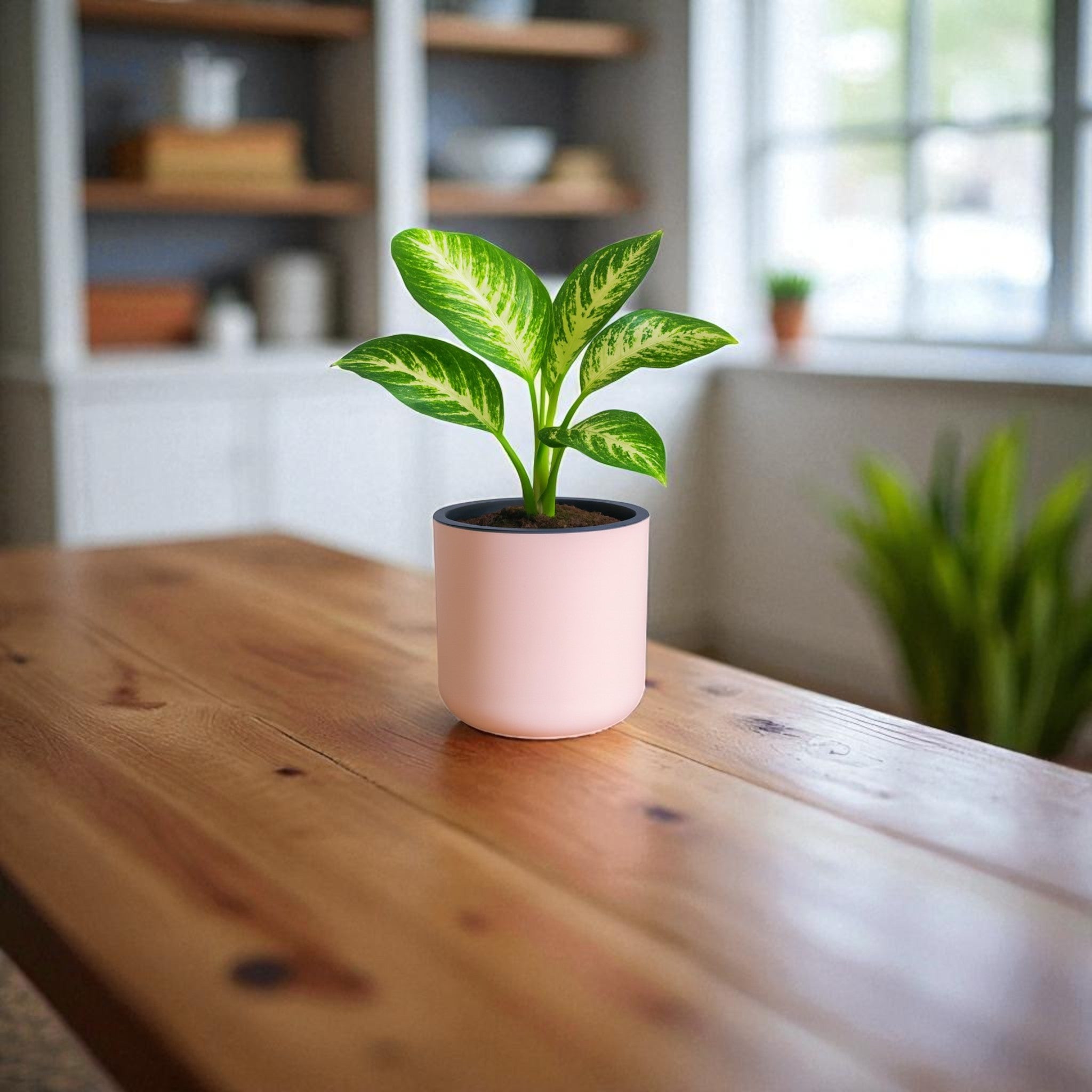 Classic Peach Self-Watering Round Planter