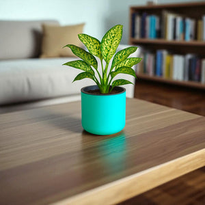 Classic Peacock Green Self-Watering Round Planter