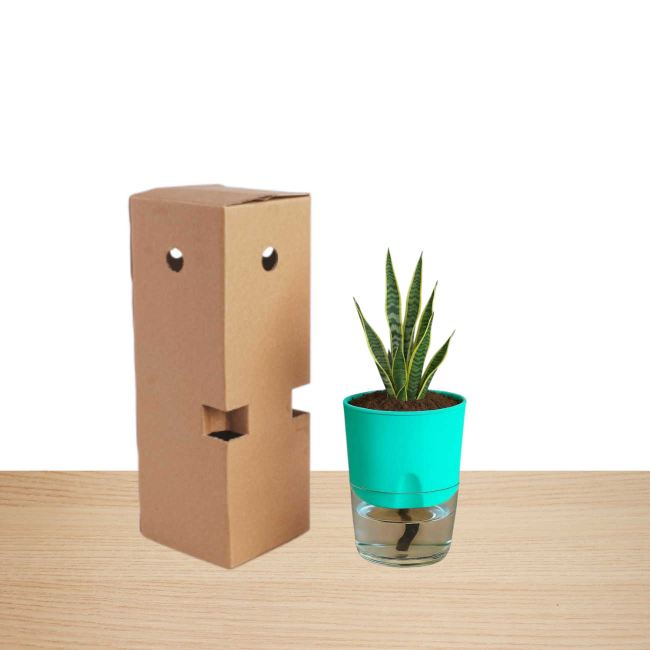 Self Watering Planter with Live Indoor Plant-Peacock Green