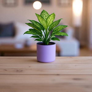 Classic Violet Self-Watering Round Planter
