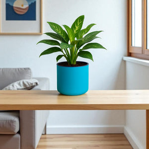 Classic Sea Green Self-Watering Round Planter