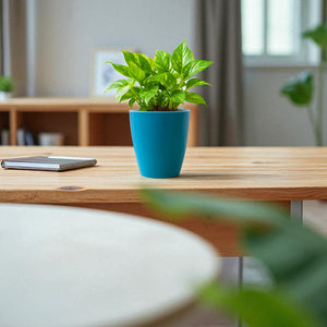 Elegant Sea Green Self-Watering Vistara Planter-2PC