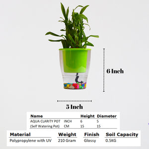 Elegant Parrot Green Self-Watering Clear Planter-2PC