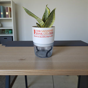 Premium Corporate Gifts– Customized Self-Watering Pot with Plant.