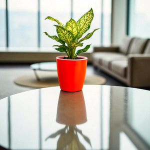 Elegant Red Self-Watering Vistara Planter-2PC