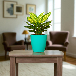Elegant Peacock Green Self-Watering Vistara Planter-2PC