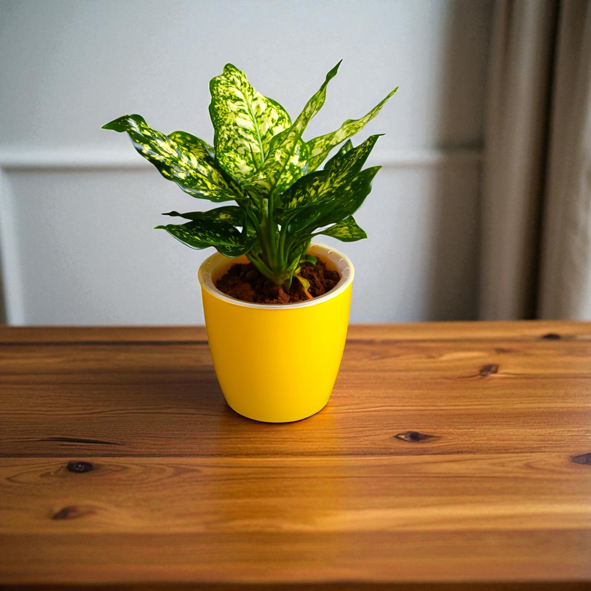 Elegant Yellow Self-Watering Vistara Planter-2PC