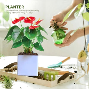 Elegant White Self-Watering Customize Wall Hanging Square Planter-1 PC