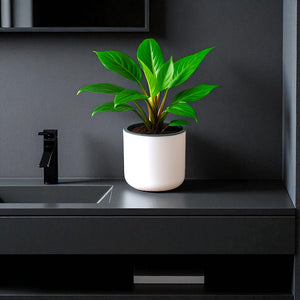 Classic White Self-Watering Round Planter