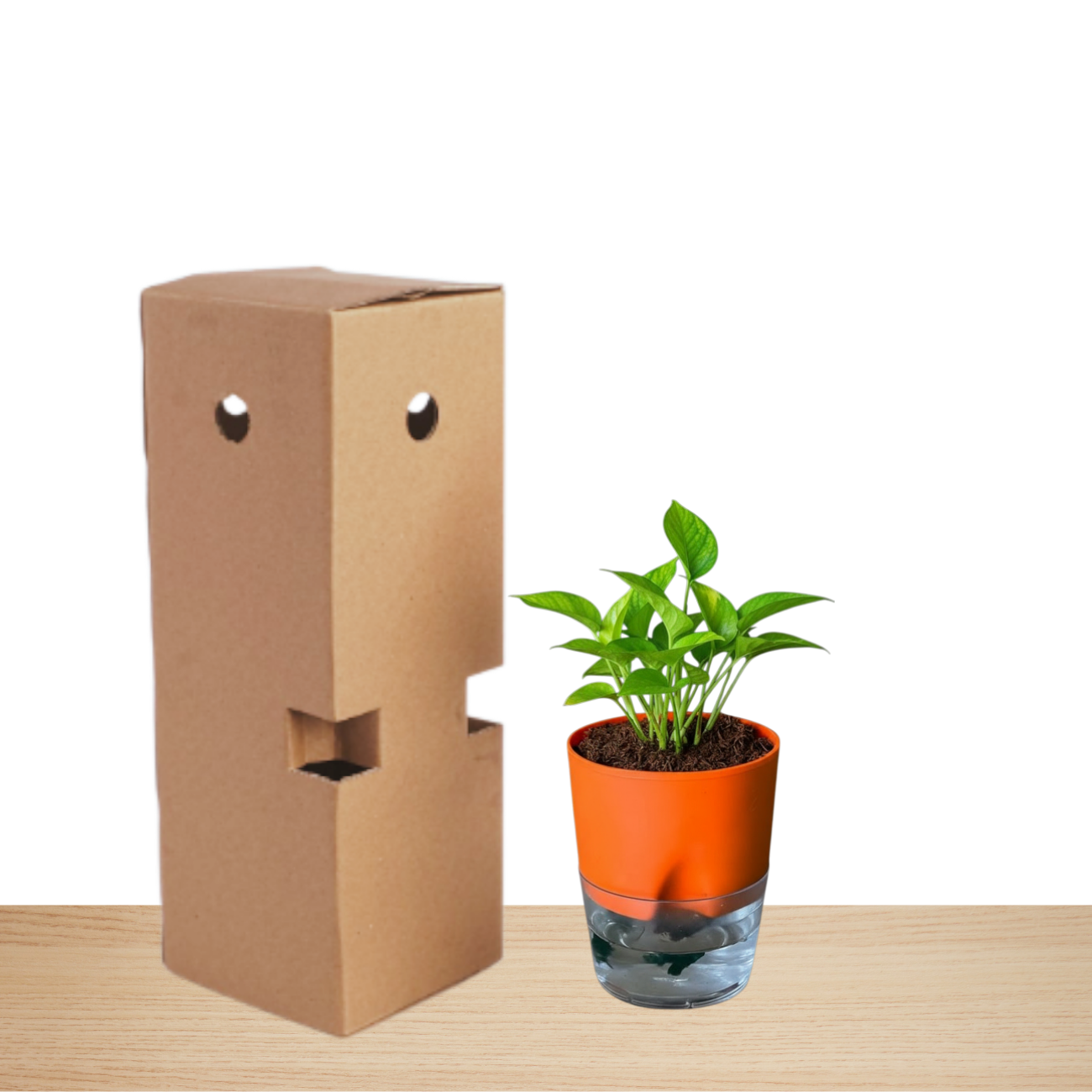 Self Watering Planter orange with Live Indoor Plant