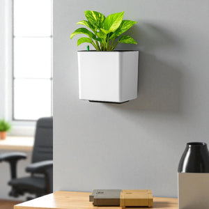 Elegant White Self-Watering Wall Hanging Square Planter