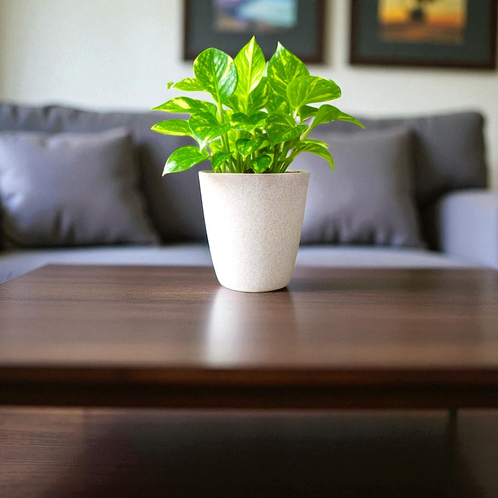 Elegant White Self-Watering Vistara Planter-2PC