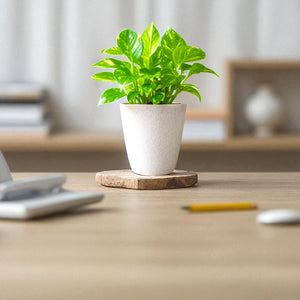 Elegant White Self-Watering Vistara Planter-2PC